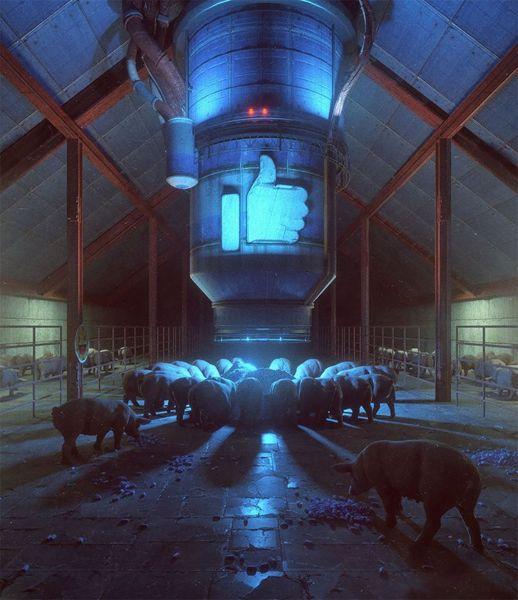 Mike Winkelmann Facebook Schweinetrog