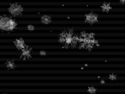 Snowfall